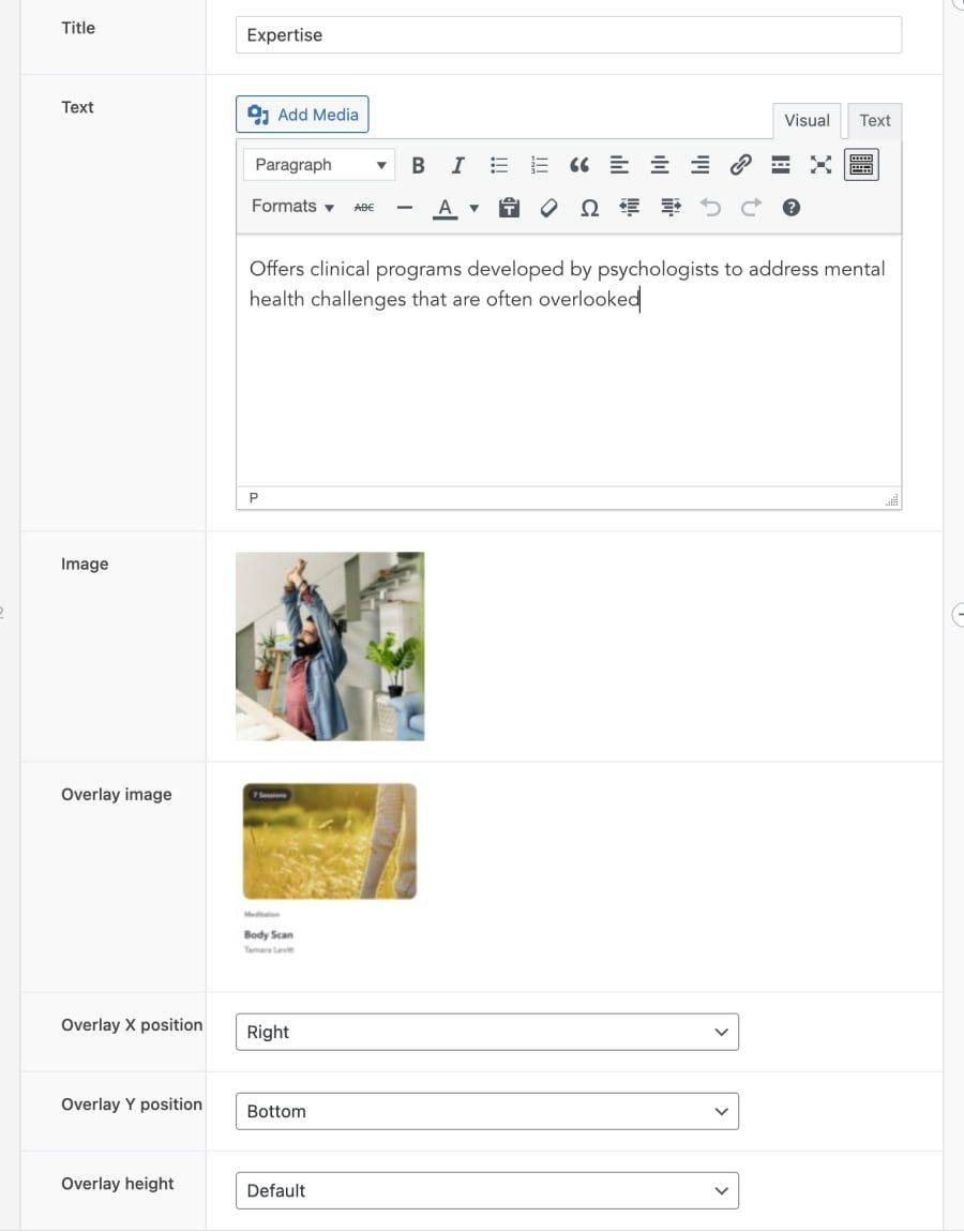 The Wordpress Gutenberg module in edit mode